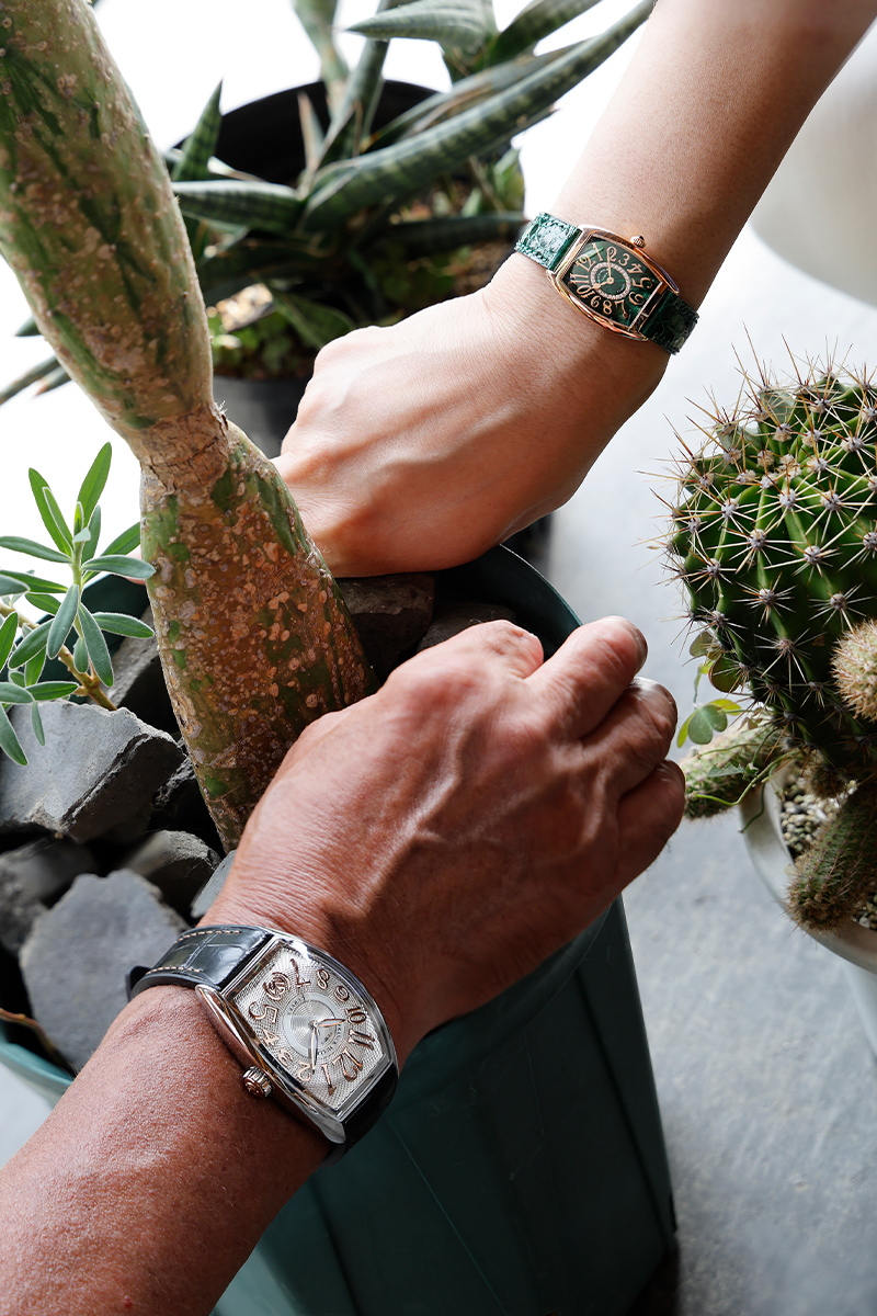 GRAND CINTR&Eacute;E CURVEX